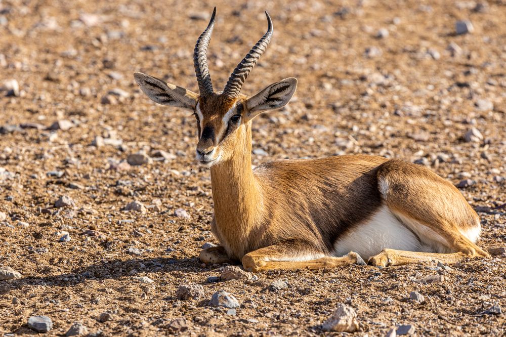 Photograph by Калинин Игорь