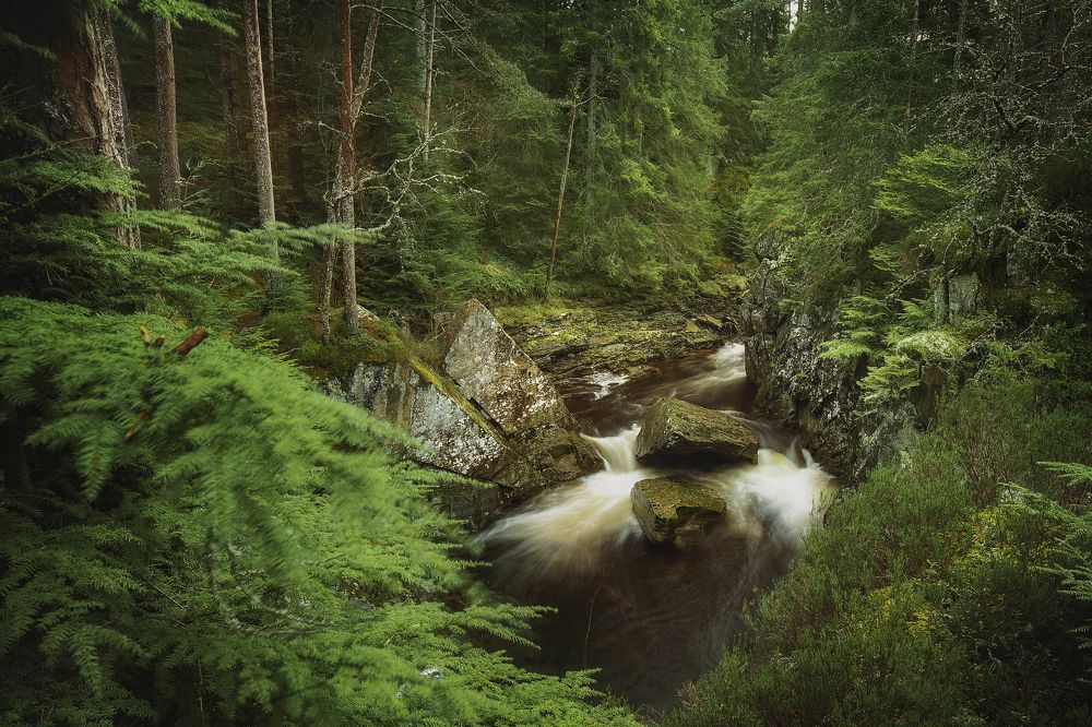 Photograph by Eugene Artjomenko