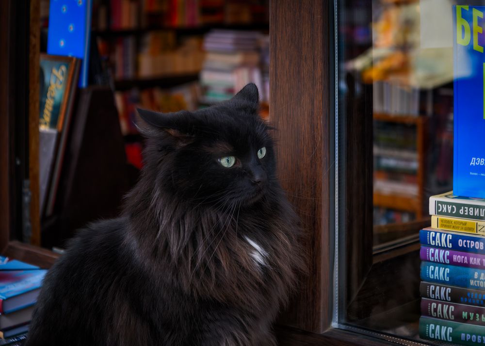 Photograph by Владимир Кваша