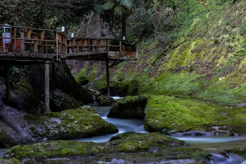 Фотография автора Fallen Angel