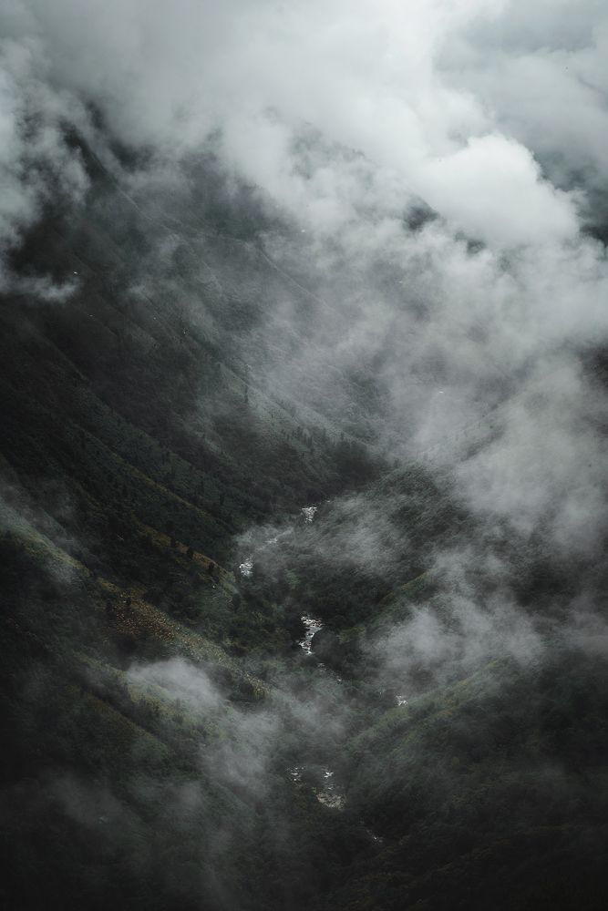 Photograph by Niranjan Baishya