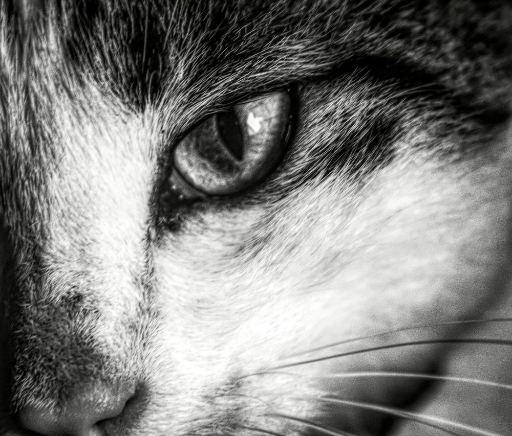 Photograph by Maria Cristina Artale