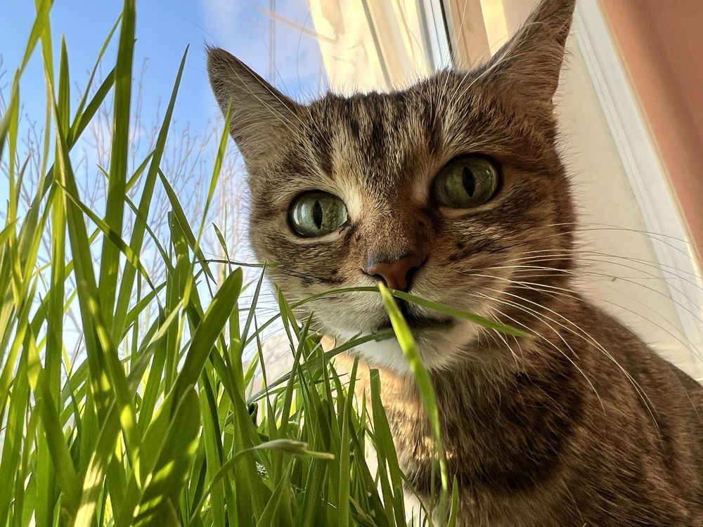 Photograph by Константин Нагорняк