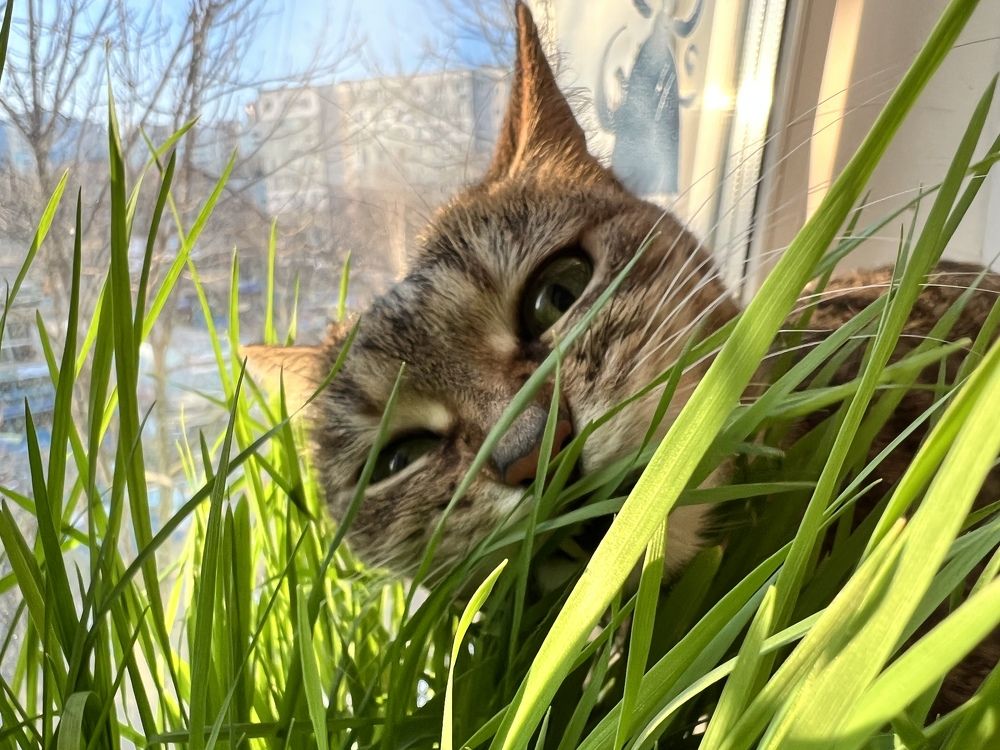 Photograph by Константин Нагорняк