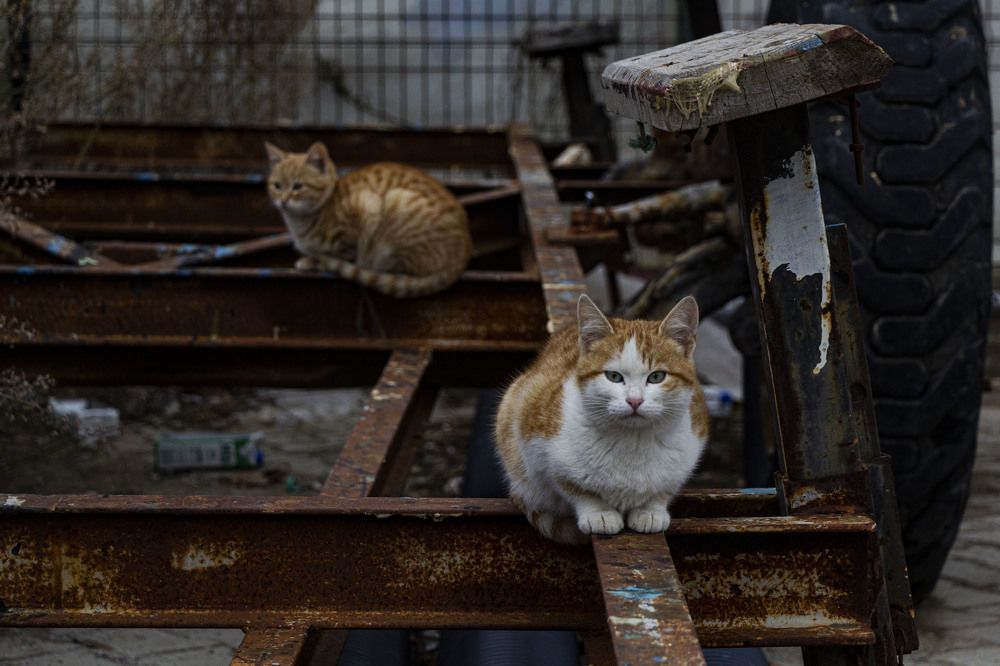 Photograph by Hasan Bayrak