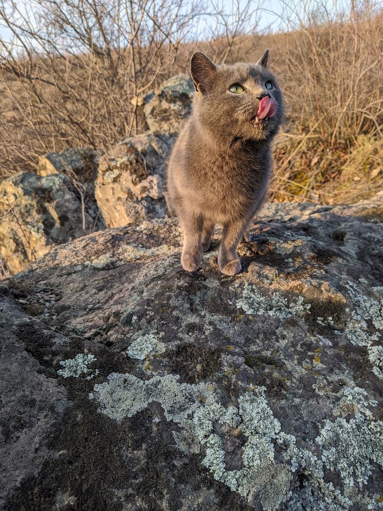 Фотография автора Наталья Синицына