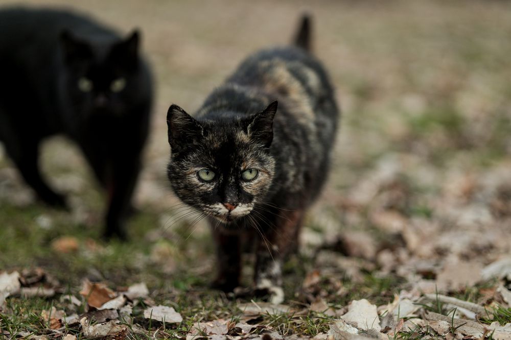 Photograph by Irnara Seidali