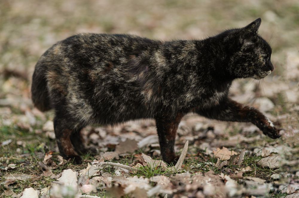 Photograph by Irnara Seidali