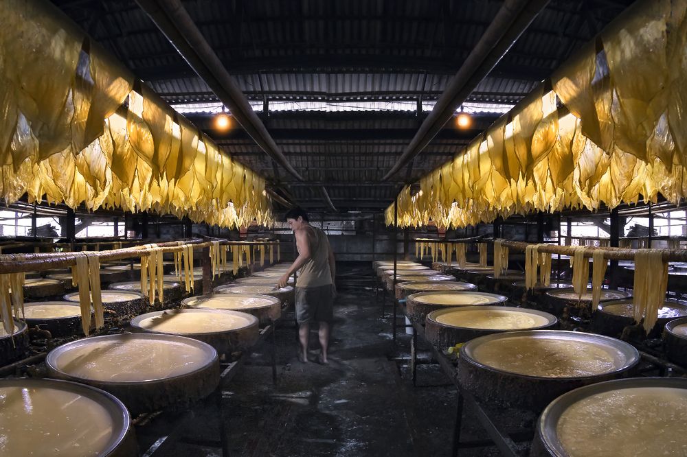 Photograph by Bùi Long