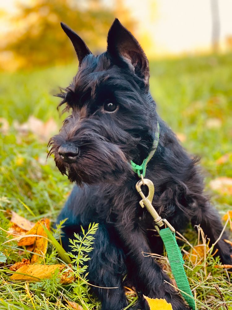 Photograph by Евгения Наумова