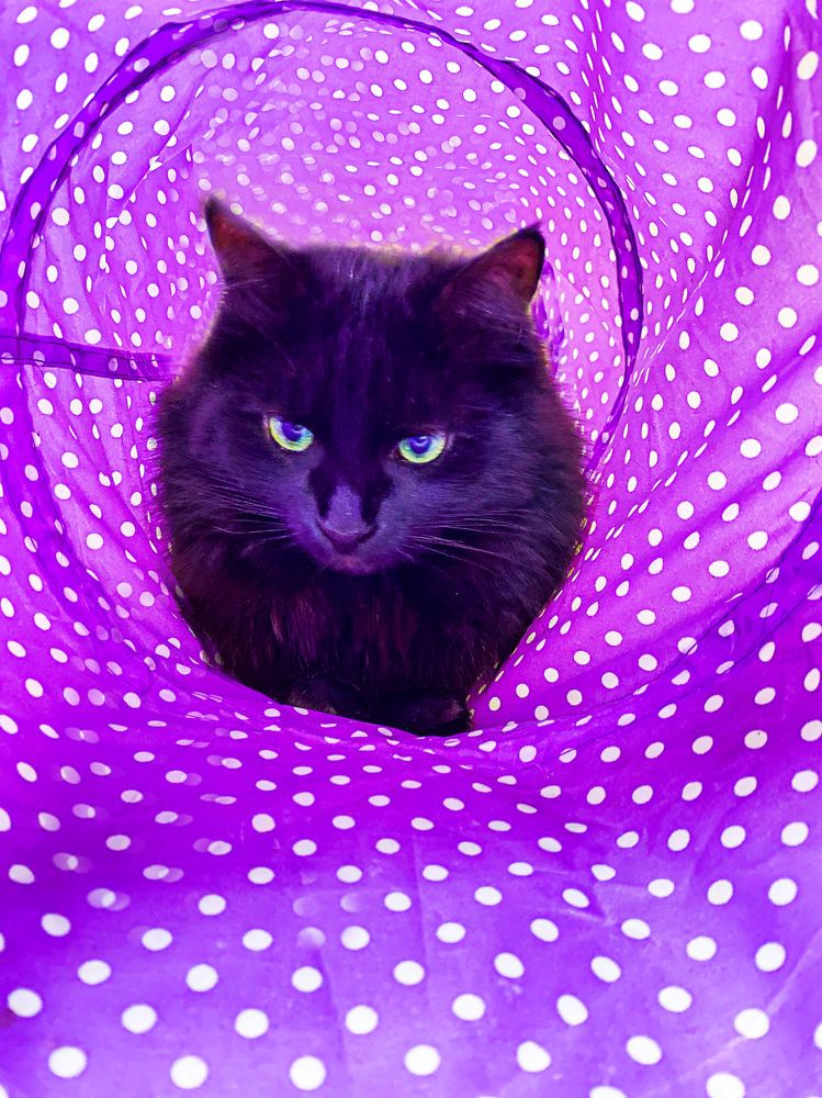 Photograph by Александра Гонтарь