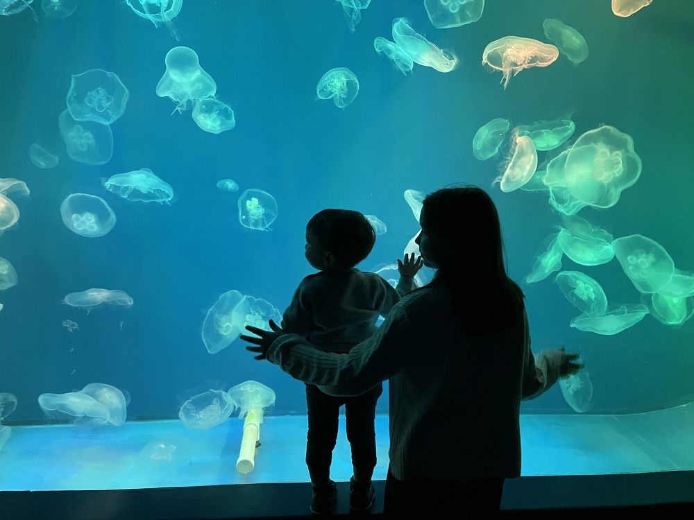 Photograph by Валентина