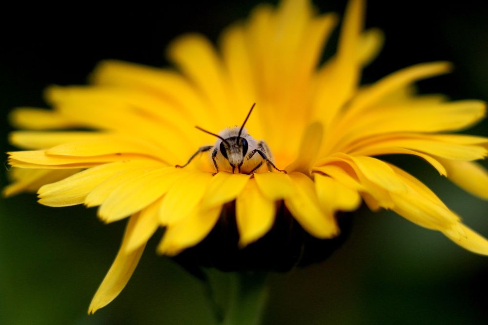 Photograph by салим насыпов