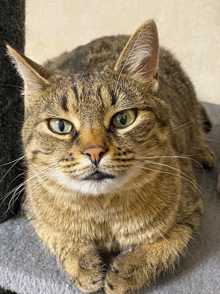 Photograph by Александра Гонтарь