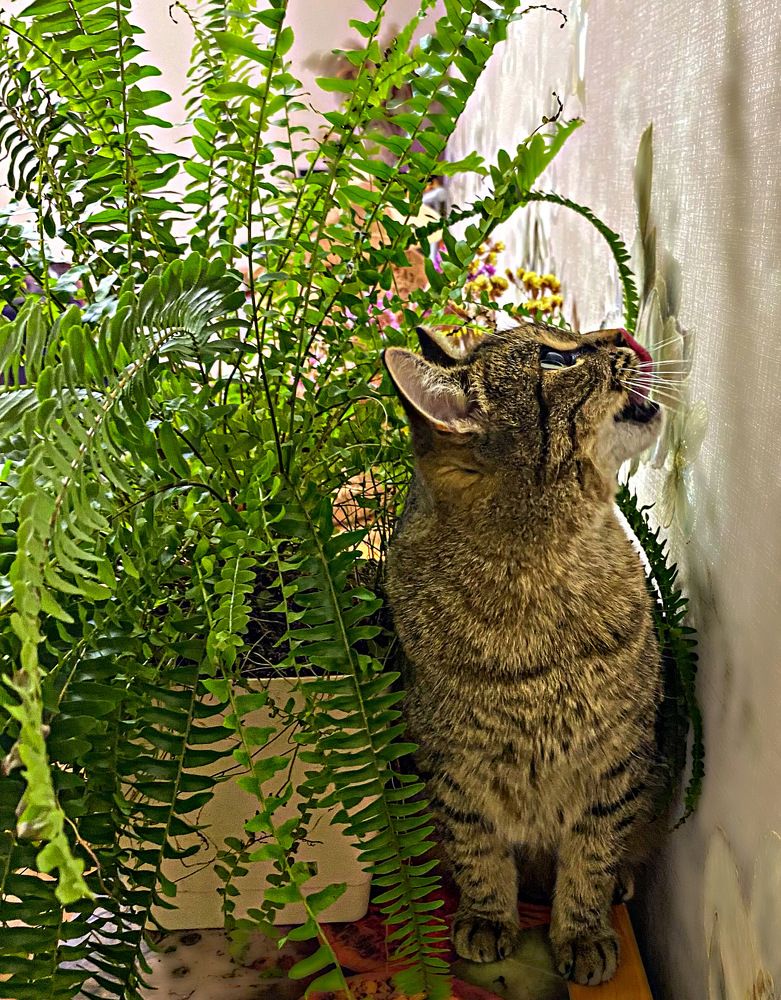 Photograph by Александра Гонтарь