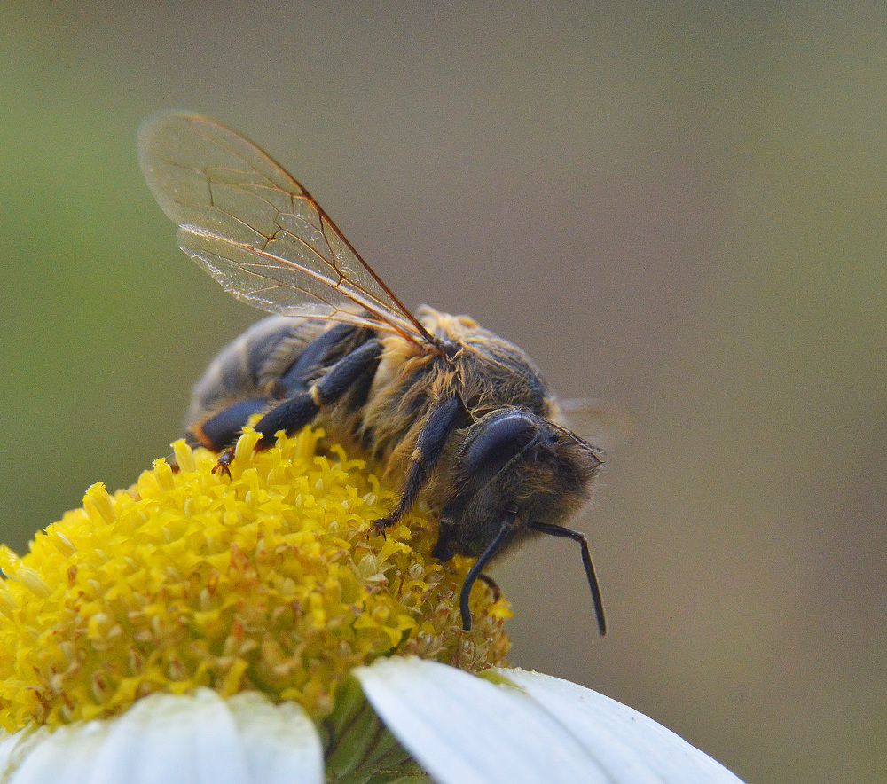 Сыро, холодно и одиноко.