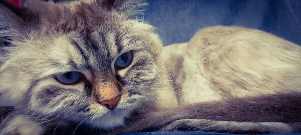 Photograph by Екатерина Дьяченко