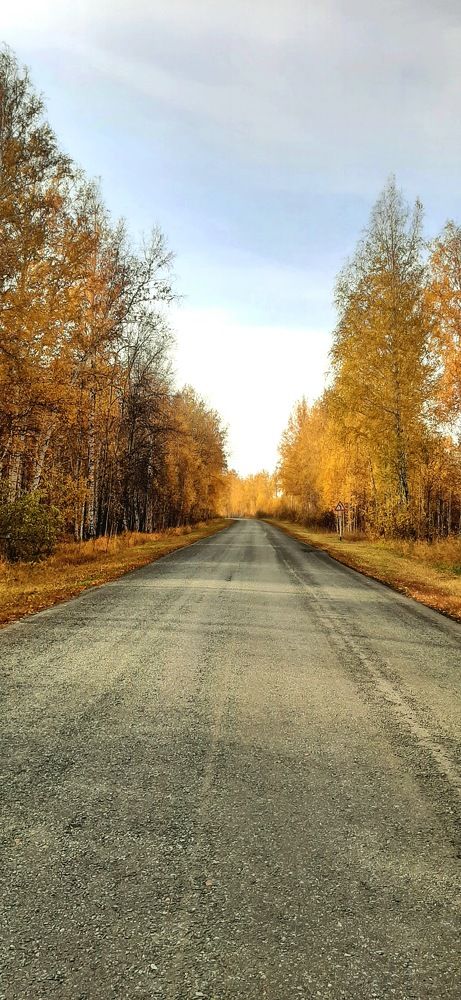 Photograph by Ирина Ахметова