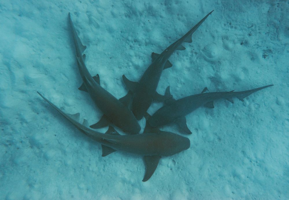 Photograph by Aleksandra