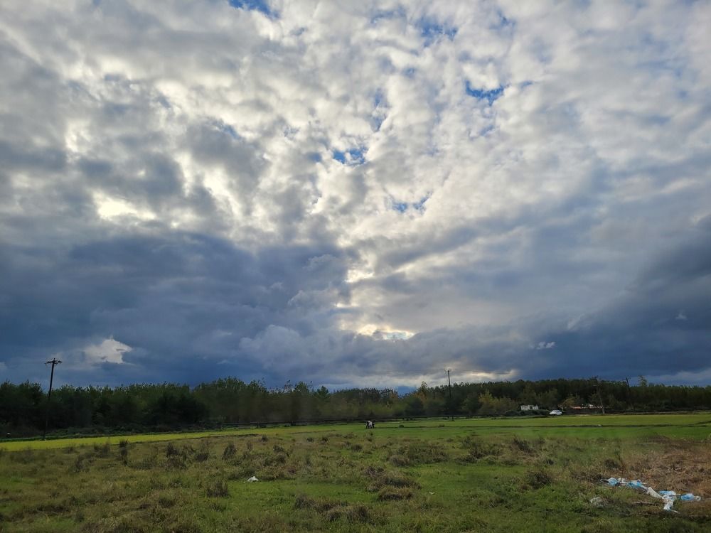 Photograph by Rahele Almassi