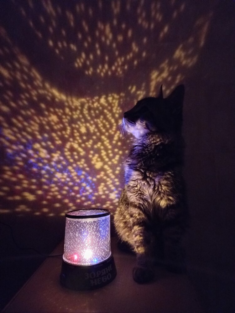 Photograph by Валерия Дидур