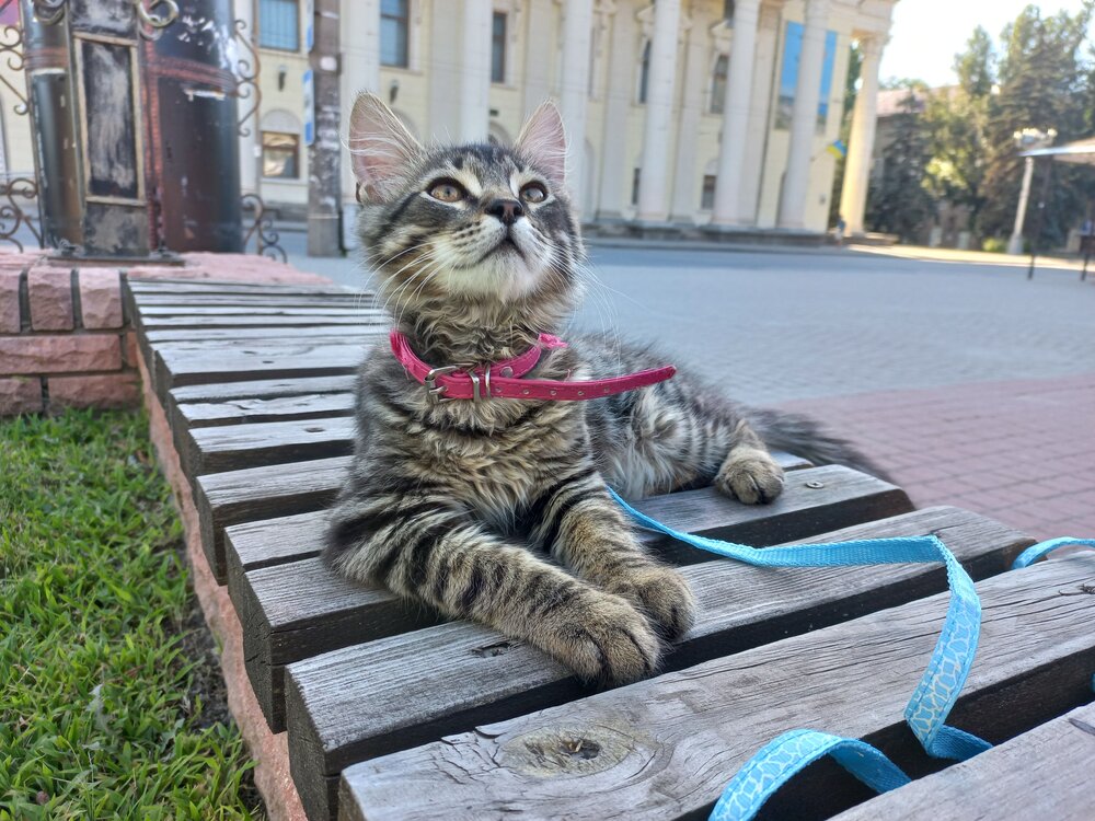 Photograph by Валерия Дидур