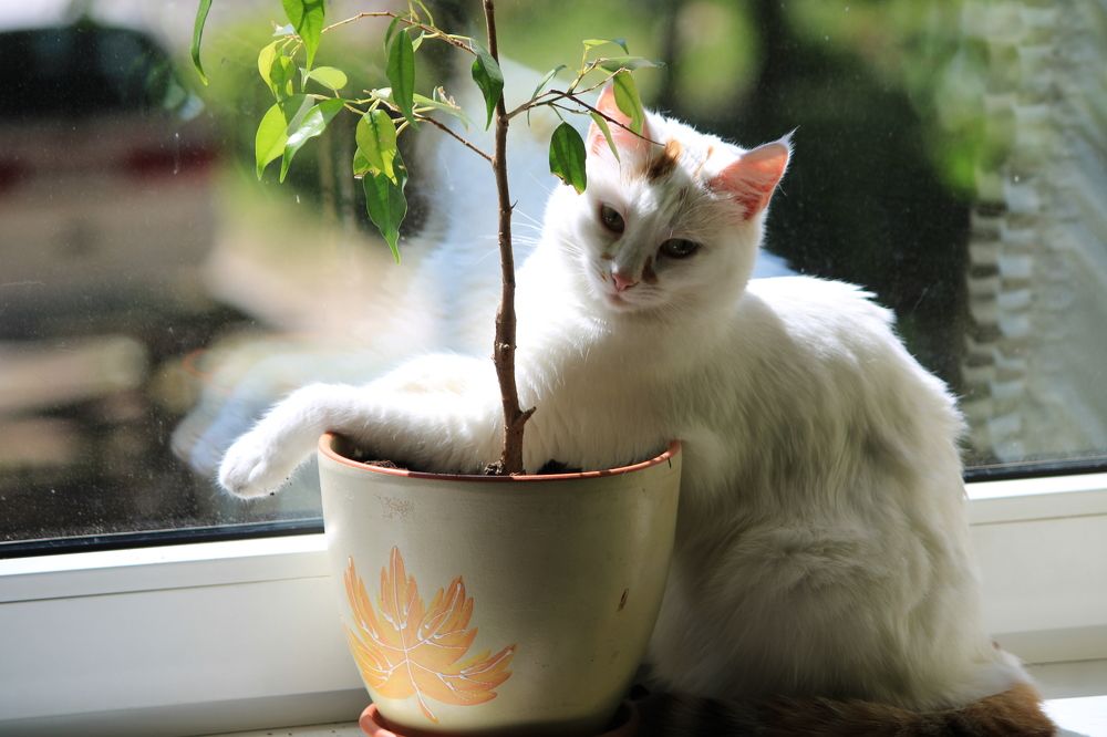 Фотография автора Никита Гутор