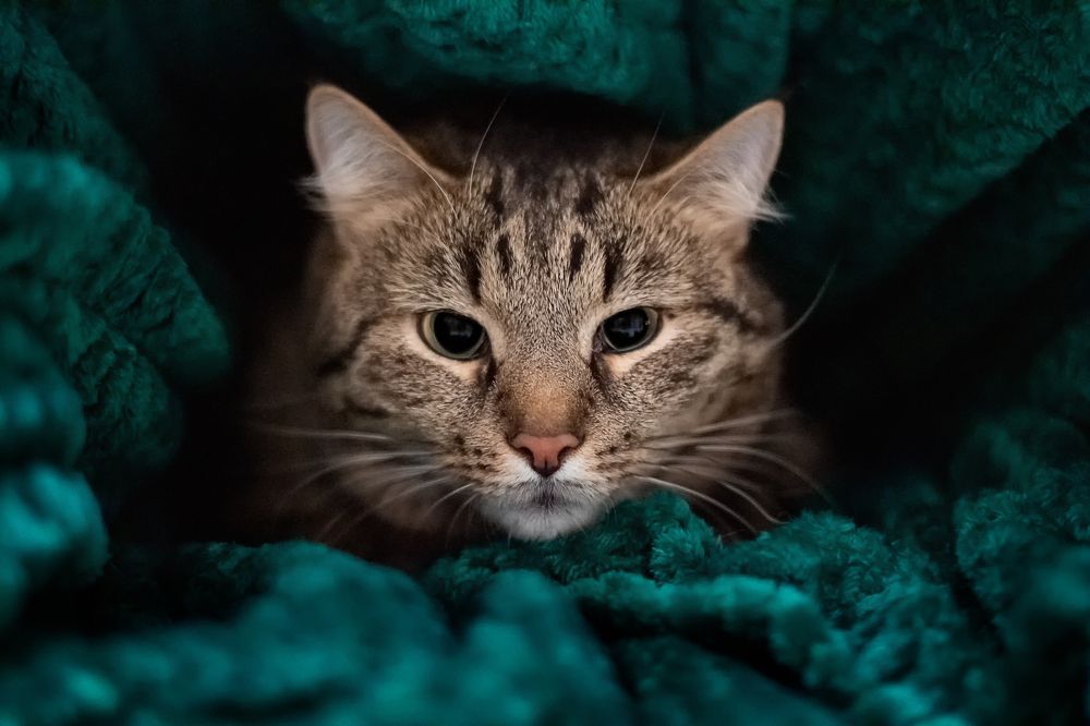 Photograph by Ольга Щерба