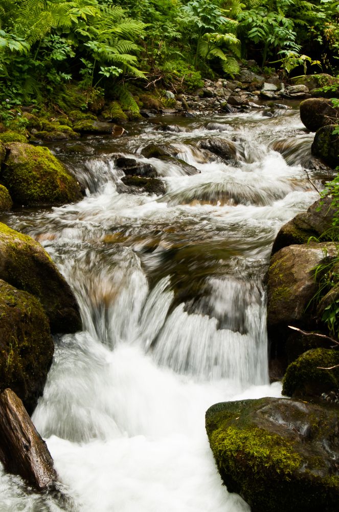 Photograph by Ирина Шерина