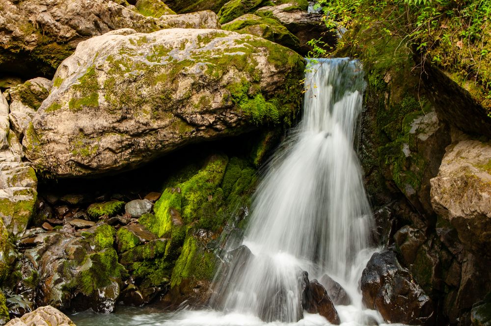 Photograph by Ирина Шерина