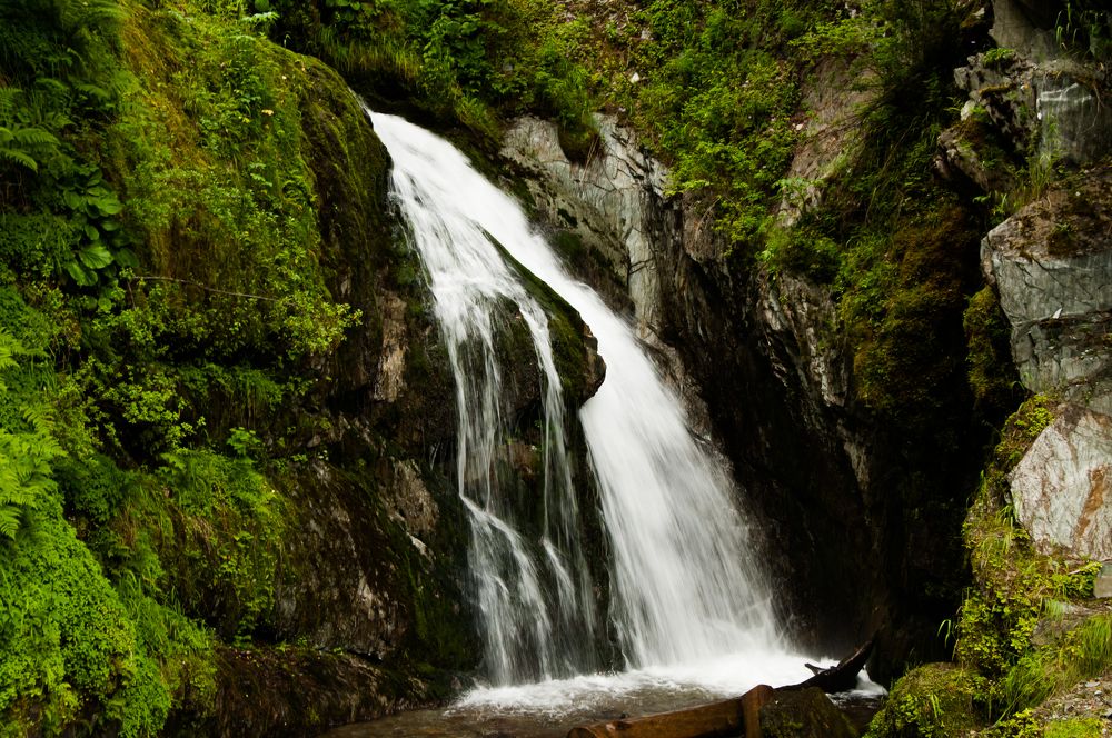 Photograph by Ирина Шерина