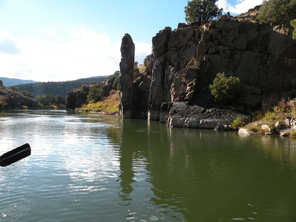 Photo #8998065