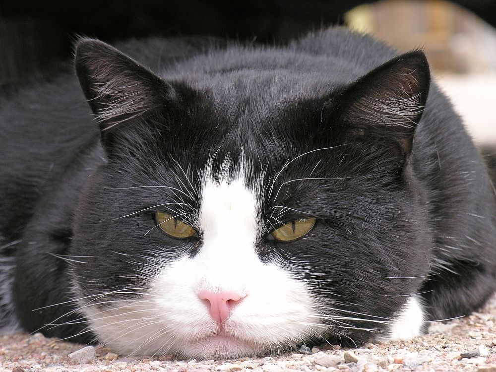 Photograph by Юрий Яковлев