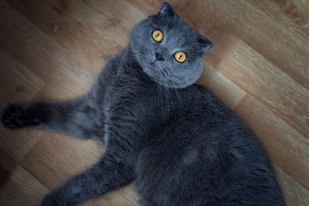 Photograph by Екатерина Кожемяко