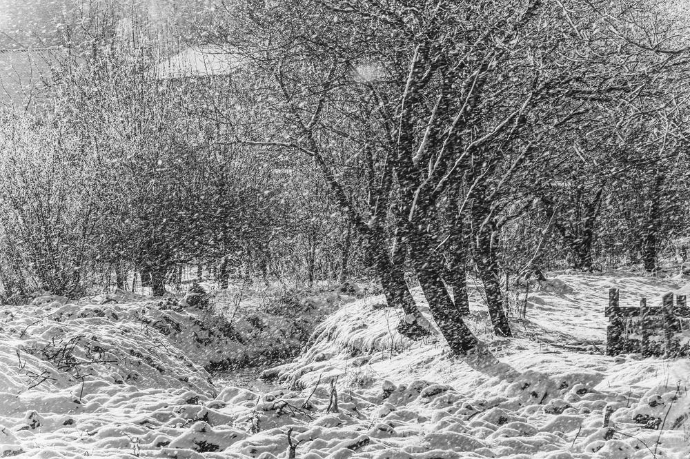 Photograph by Петро Бліщ