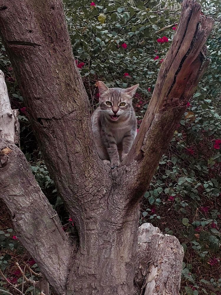 Photograph by Sohaila Saleh