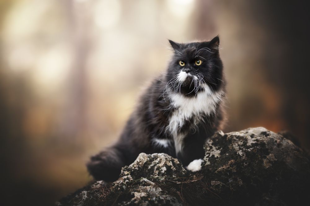 Photograph by Rut Casanellas