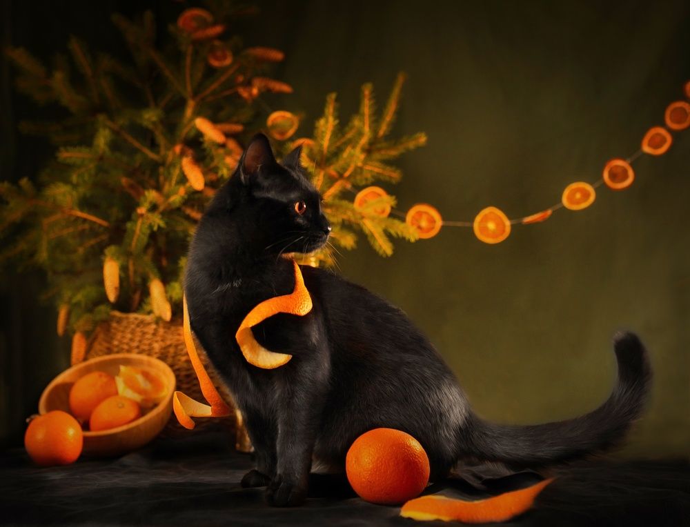 Photograph by Natalya Rembeza