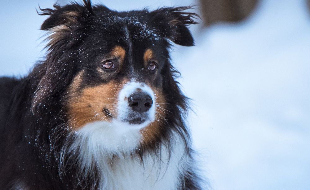 Photograph by Владимир Безбородов