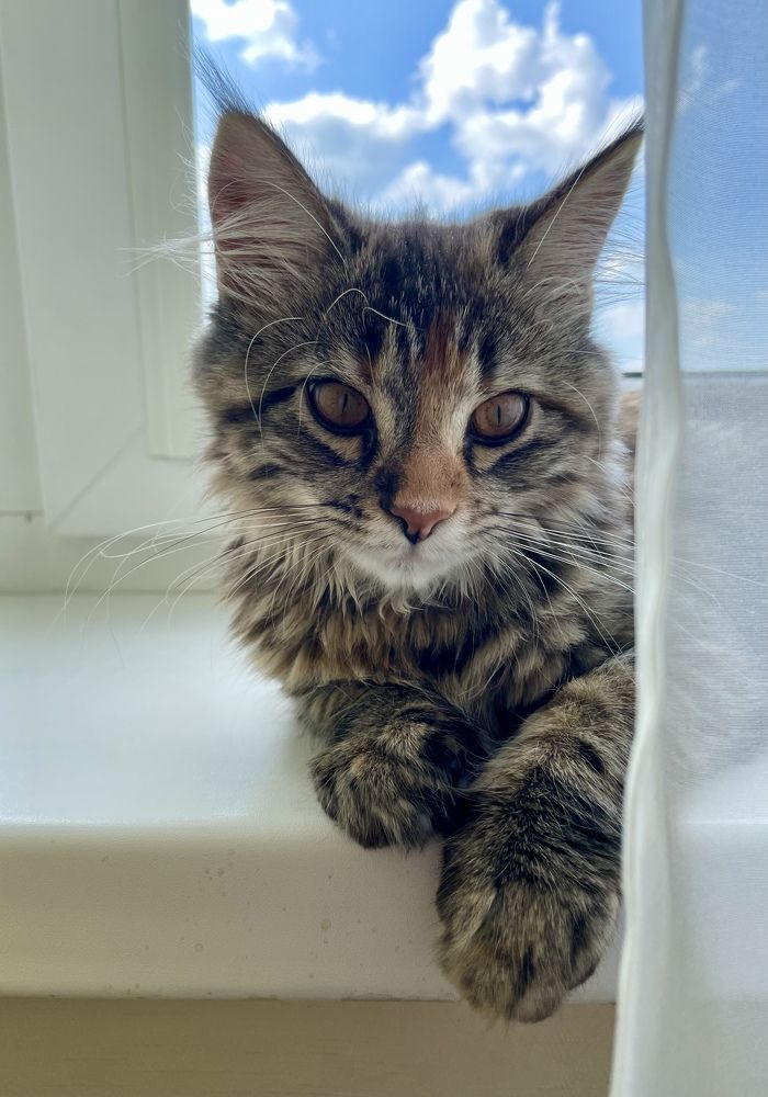 Photograph by Марина Белянских