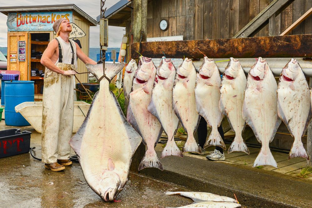 Photograph by NADEZHDA PELYMSKAIA