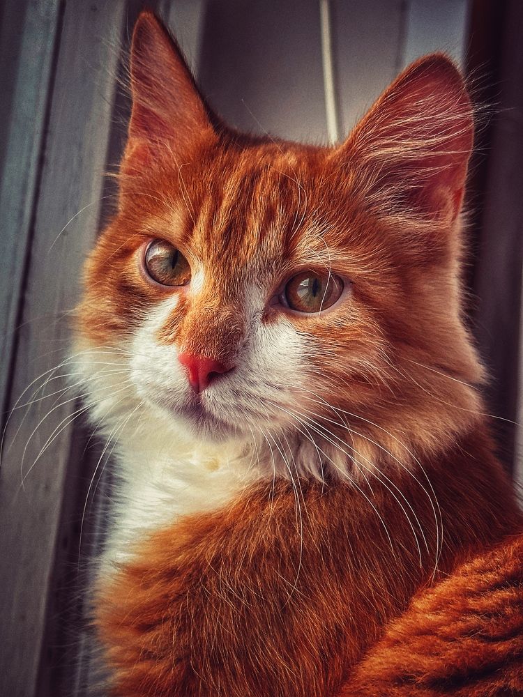 Photograph by Evgenia Privalova