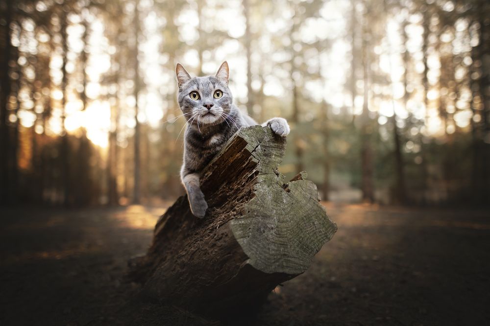 Photograph by Rut Casanellas