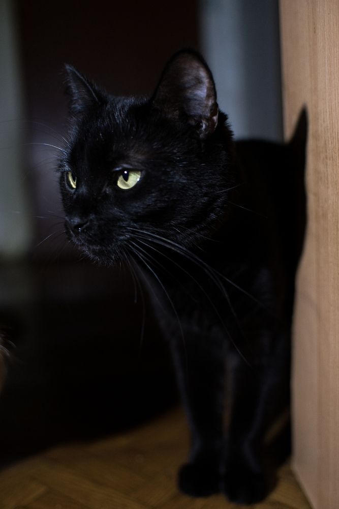 Photograph by Карина Полякова