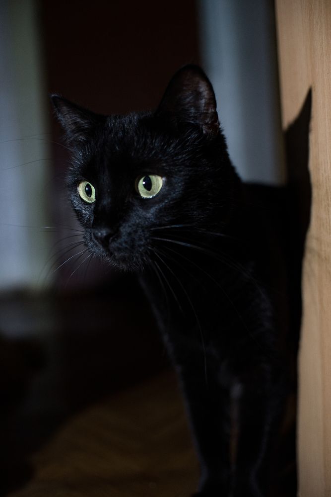 Photograph by Карина Полякова