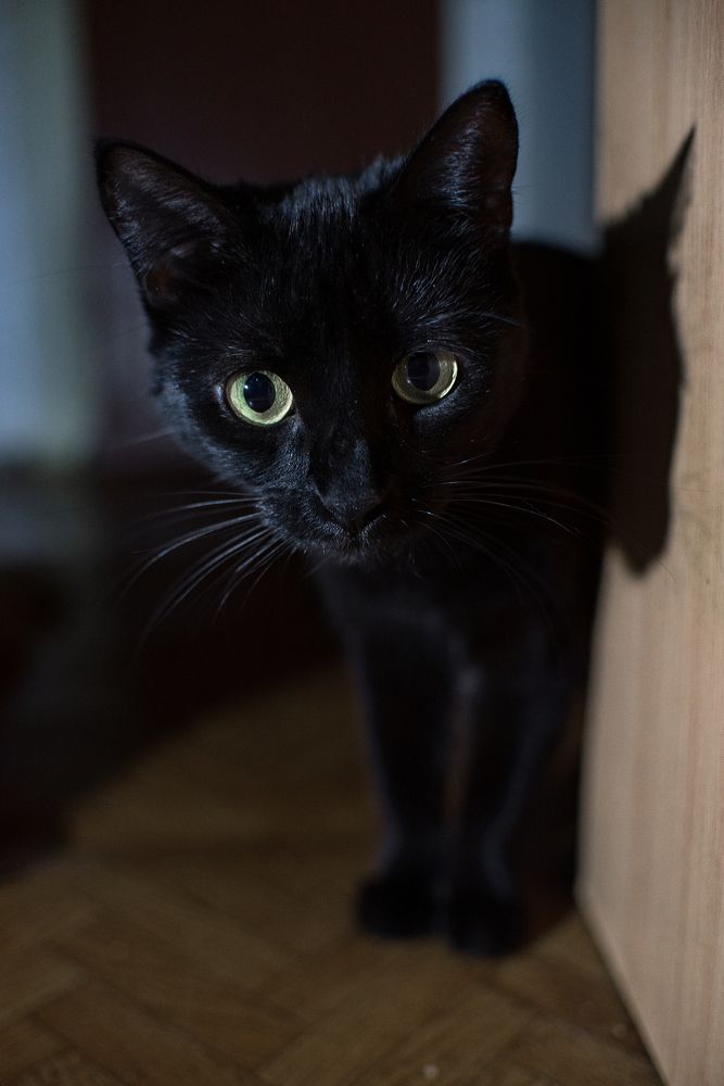 Photograph by Карина Полякова