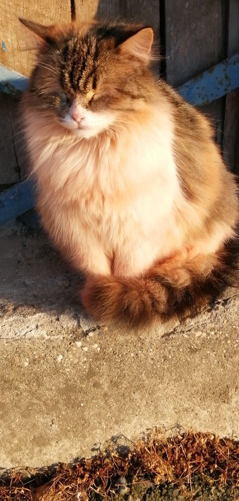 Photograph by Мила Мит