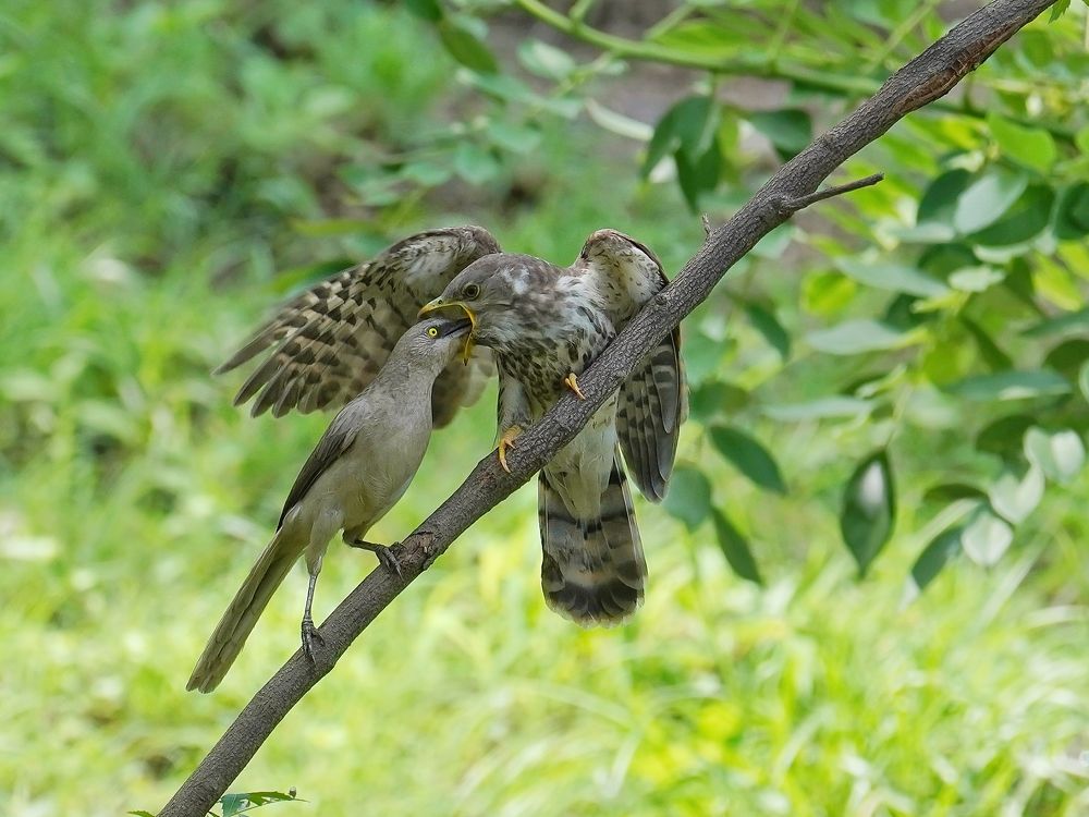 Photograph by SWAPNIL MEHTA