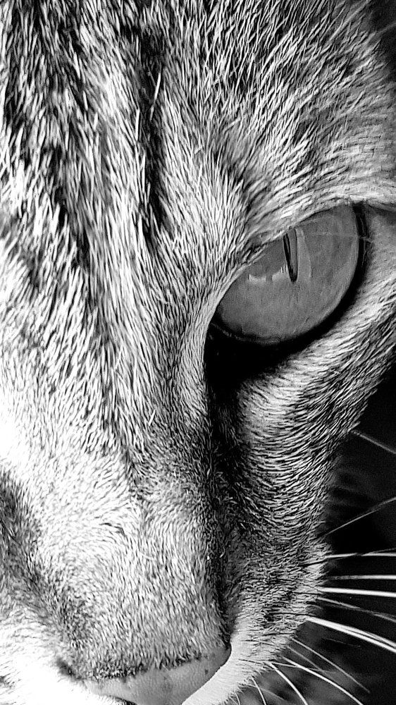 Photograph by HELBER AZEVEDO