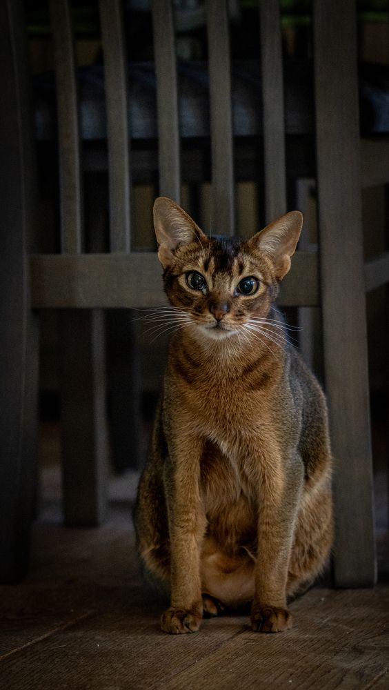 Photograph by heymans Tiffany